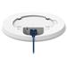 Teltonika TAP200 Access Point Wi-Fi 5, 15 W PoE Injector TAP200000300