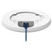 Teltonika TAP200 Access Point Wi-Fi 5 TAP200000000