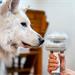 TESLA PetCare Station Pro TQ500 8595689802349
