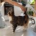 TESLA PetCare Station Pro TQ500 8595689802349