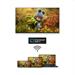 Thomson 85QA2S13 Qled Android