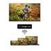 Thomson Streaming Box 240 - 4K UHD, Google Cast, Hej Google BOX240