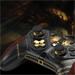 Thrustmaster eSwap X2 PRO, Elden Ring edice, modulární gamepad, pro PC/Xbox S./ X/S (4460283) 3362934403928