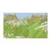 TOPO mapa - TransAlpine v4 PRO, microSD™/SD™ 4251250501182