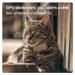 Tractive GPS CAT Mini, Hnědá TRCAT5BR