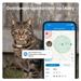 Tractive GPS CAT Mini, Hnědá TRCAT5BR