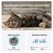 Tractive GPS CAT Mini, Hnědá TRCAT5BR