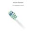 TrueLife SonicBrush Clean-series white 8594175359282