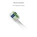 TrueLife SonicBrush Slim-series Standard 8594175359879