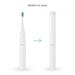 TrueLife SonicBrush T100 8594175357578
