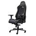 TRUST herní židle GXT 721 RUYA Pro Premium, černá 25186