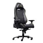 TRUST herní židle GXT 721 RUYA Pro Premium, černá 25186