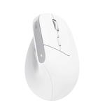 TRUST myš Bayo+ Ergonomická vertikální myš, Bezdrátová, bílá 25399