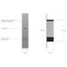 Ubiquiti UniFi Access Fail-Safe Bolt Lock UACC-Lock-Bolt-Safe