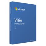 Visio Pro 2021 Win CZ D87-07616