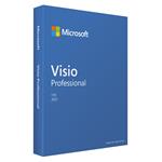 Visio Pro 2021 Win Eng D87-07619
