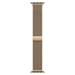 Watch Acc/41/Gold Milanese Loop ML733ZM/A