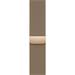 Watch Acc/41/Gold Milanese Loop ML733ZM/A