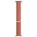 Watch Acc/41/P.Pomelo/Tan S.Loop-Reg ML2P3ZM/A