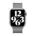 Watch Acc/41/Silver Milanese Loop ML753ZM/A