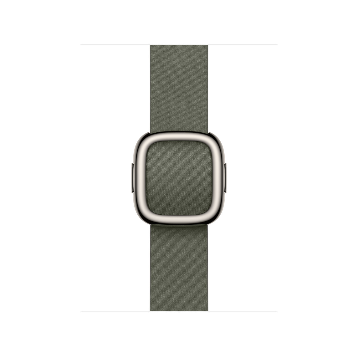 Watch Acc/42/Sage Gray Modern Buckle - S MGG94ZM/A