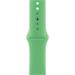 Watch Acc/45/Bright Green SB-Reg MN2F3ZM/A