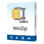 WinZip 26 Standard License ML (Single-User) SK/CZ/DE/ES/FR/IT/NL/PT/SV/NO/DA/FI - ESD ESDWZ27STDML