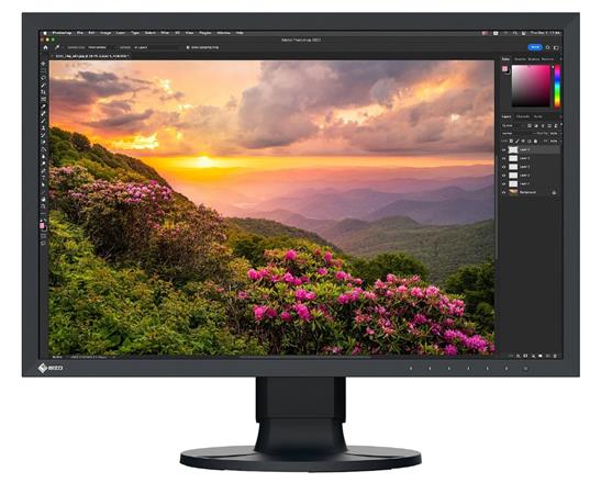 24" LED EIZO CG2400S - WUXGA,IPS,410cd,USB-C CS2400S