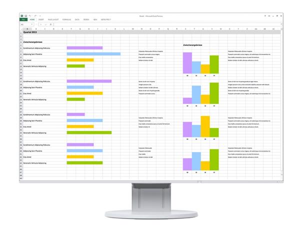 24" LED EIZO EV2456-WUXGA,IPS,DP,USB,piv,rep,w EV2456-WT