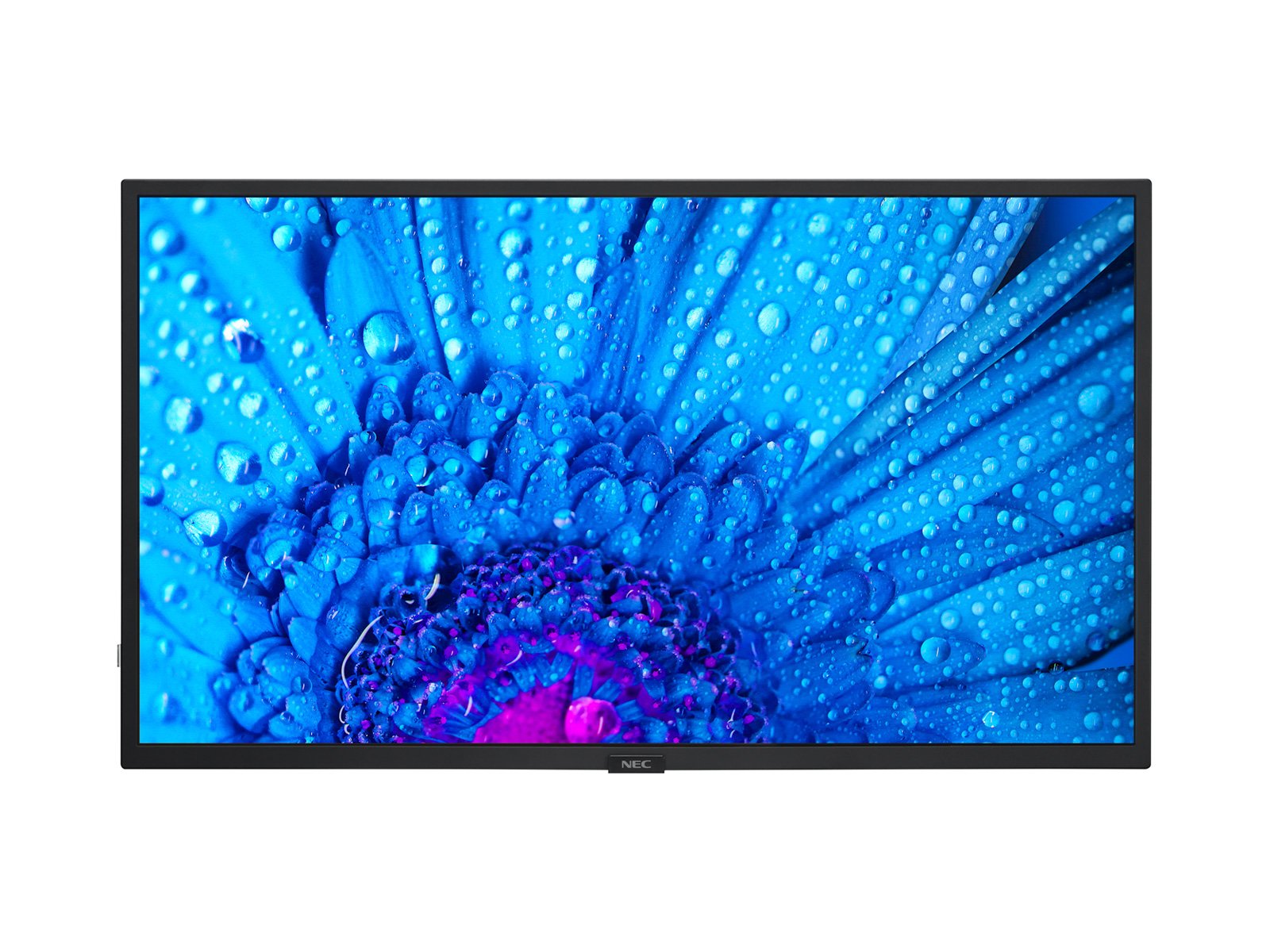 32" LED NEC M321,1920x1080,IPS,24/7,450cd 60005288