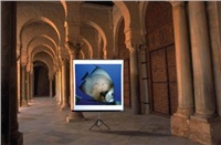 40531-Reflecta stativ ALPHA lux 180x180 cm 1:1