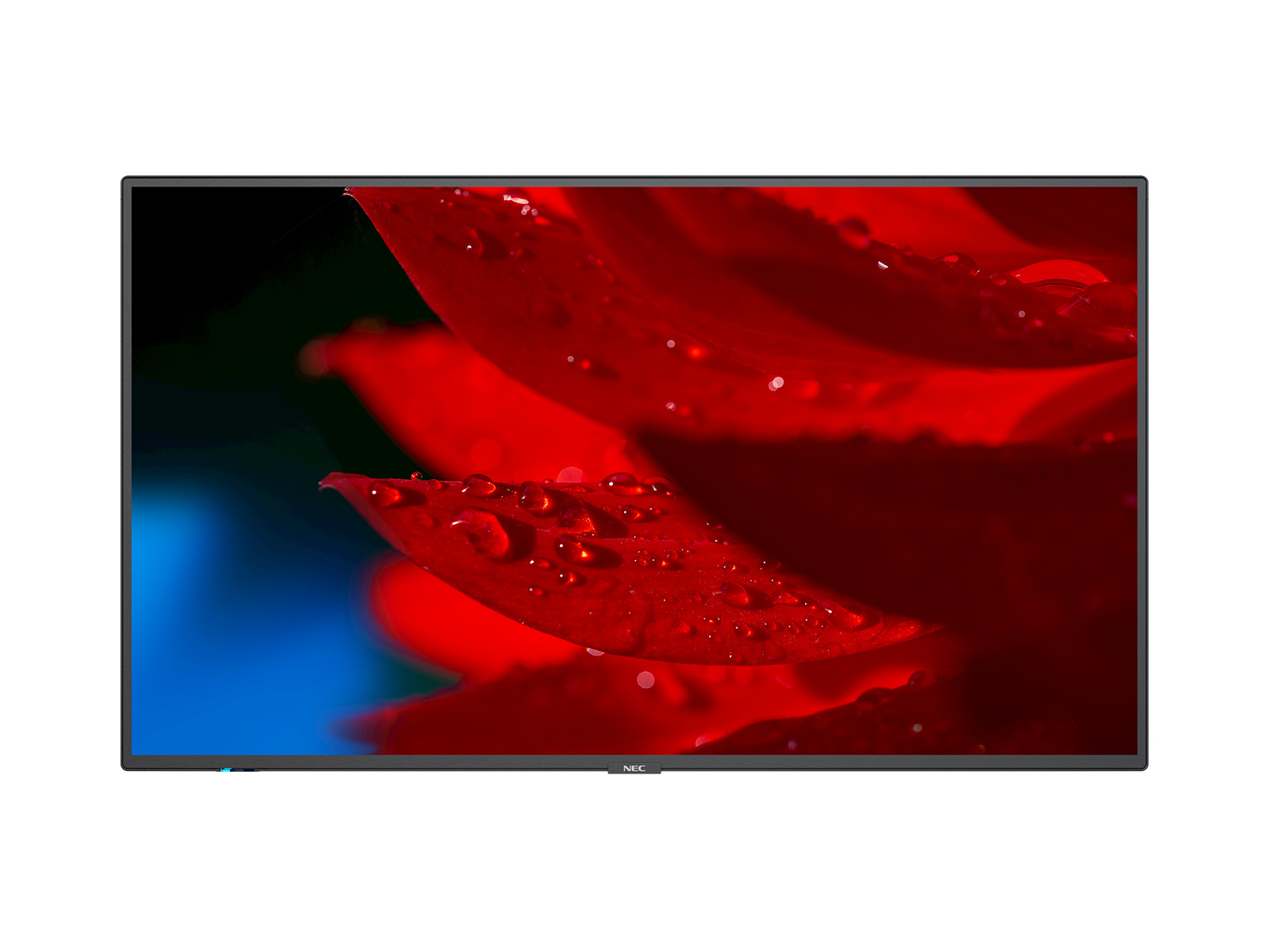 43" LED NEC MA431,3840x2160,IPS,24/7,500cd 60005046