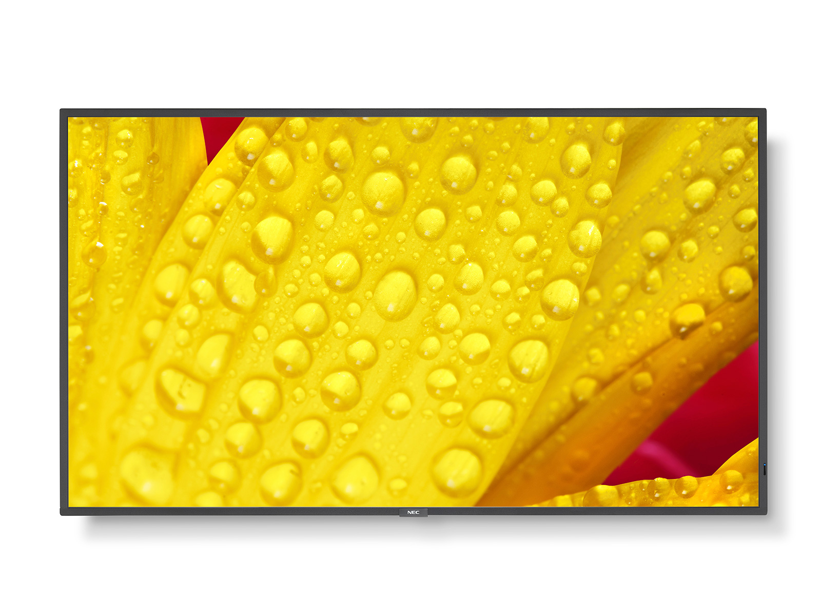 43" LED NEC ME431,3840x2160,IPS,18/7,400cd 60005048