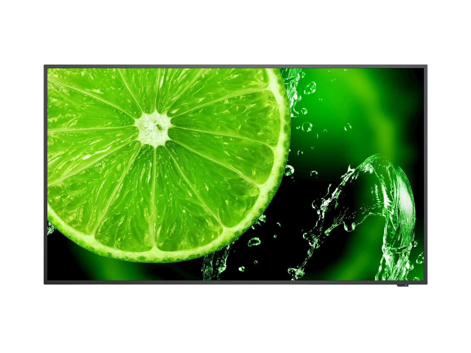 49" LED NEC E498,3840x2160,IPS,16/7,350cd 60005052