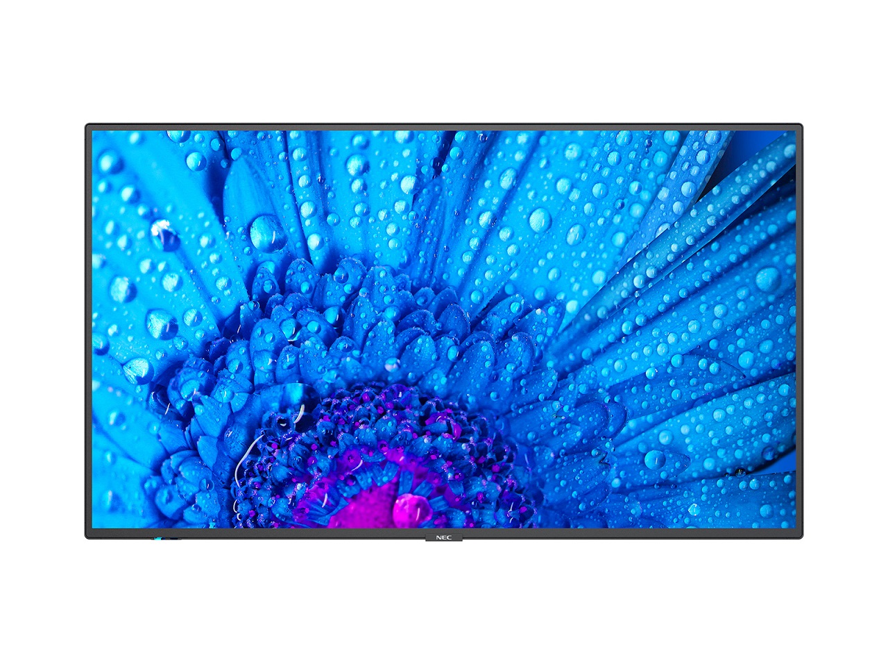 49" LED NEC M491,3840x2160,IPS,24/7,500cd 60005051