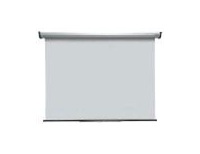 80910 - reflecta plátno Rollo SilverLine 180 x 190 cm, manual, white