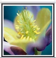 85925-reflecta Rollo Galaxy lux 213x125cm (view203 x 115) black border