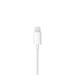 Apple EarPods with Lightning Connector MWTY3ZM/A