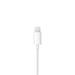 Apple EarPods with Lightning Connector MWTY3ZM/A