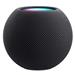Apple HomePod mini Space Gray EU MY5G2F/A