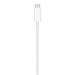 Apple MagSafe Charger MGD74ZM/A