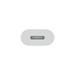 Apple USB-C to Lightning Adapter MUQX3ZM/A