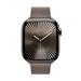 Apple Watch 42mm Dark Taupe Modern Buckle - Small MXW33ZM/A