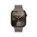 Apple Watch 42mm Dark Taupe Modern Buckle - Small MXW33ZM/A