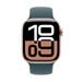 Apple Watch 42mm Lake Green Sport Band - M/L MXLA3ZM/A