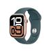 Apple Watch 42mm Lake Green Sport Band - S/M MXL93ZM/A
