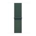 Apple Watch 42mm Lake Green Sport Loop MXL23ZM/A