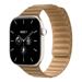 Apple Watch 46mm Camel Magnetic Link - S/M MKRT4ZM/A