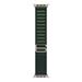 Apple Watch 49mm Dark Green Alpine Loop - Medium - Natural Titanium Finish MXMV3ZM/A