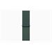 Apple Watch SE GPS 40mm Starlight Aluminium Case with Lake Green Sport Loop MXEH3QC/A